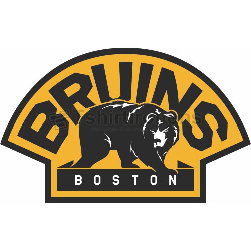 Boston Bruins T-shirts Iron On Transfers N76